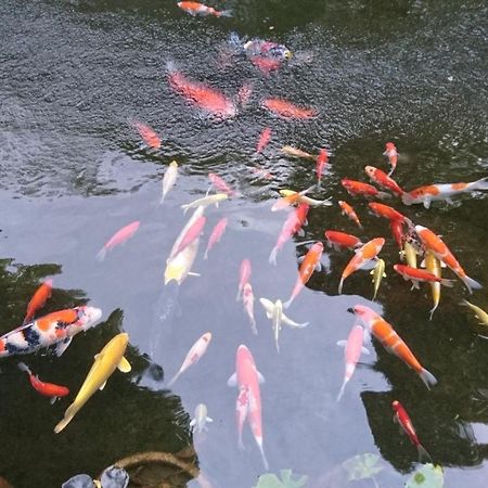 Hotel Gyokutei Hakone Zewnętrze zdjęcie