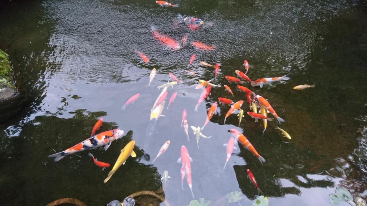 Hotel Gyokutei Hakone Zewnętrze zdjęcie