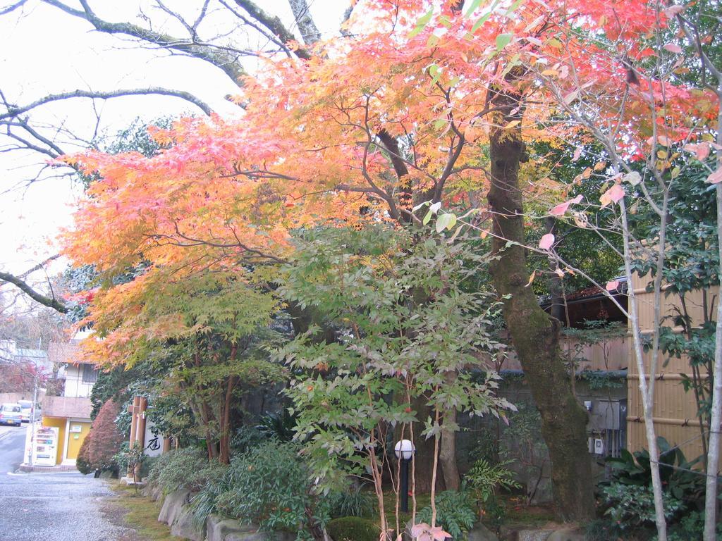 Hotel Gyokutei Hakone Zewnętrze zdjęcie