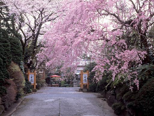 Hotel Gyokutei Hakone Zewnętrze zdjęcie