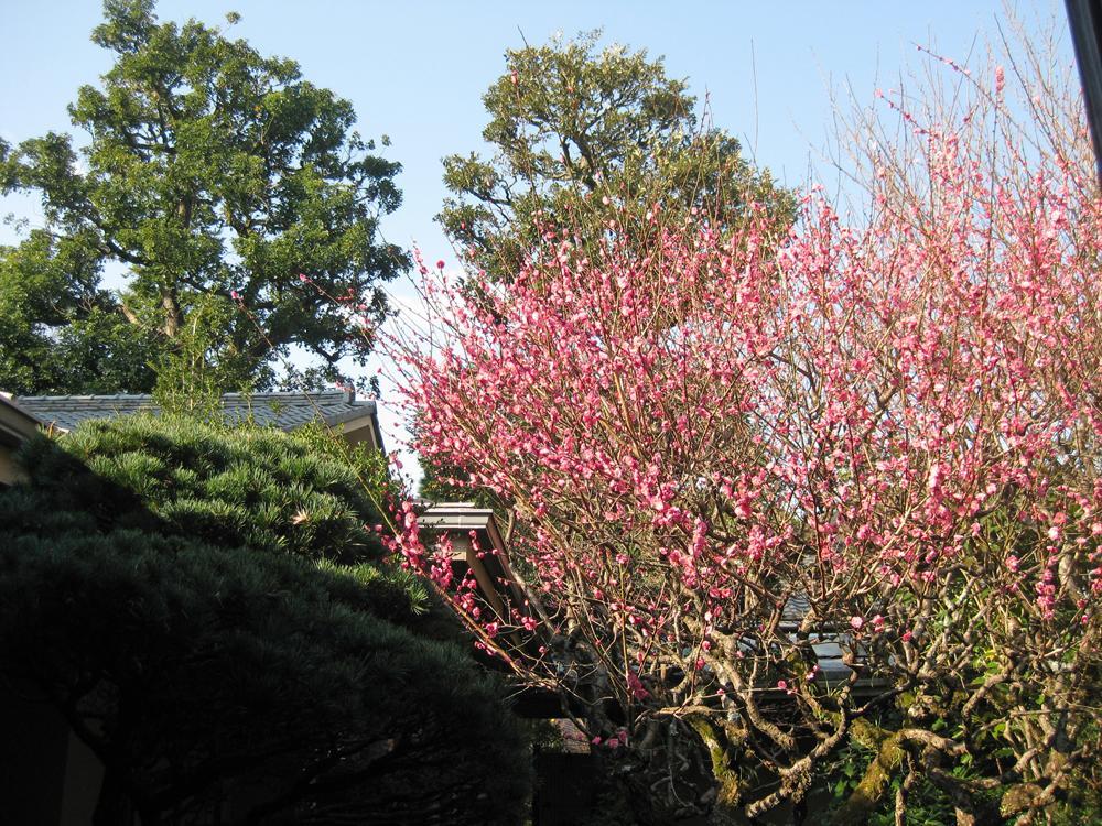 Hotel Gyokutei Hakone Zewnętrze zdjęcie